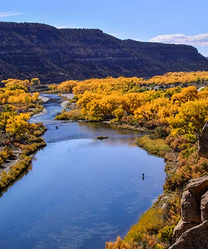 River with fall yellow colors of trees on the bank and mesa